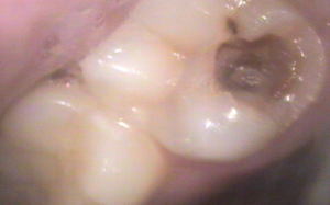 cdc3c0_066bda43c6f728d39e977f4076ee150f