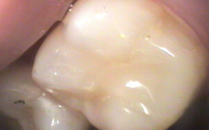 cdc3c0_af10a5301e73b90b0d860e99a96af182
